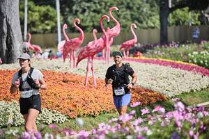 BIB: 
                            <button type="button" onclick="openModal(27793195)" class="btn btn-primary btn-sm float-right btn-popup" data-toggle="modal" data-target=".modal-high-quality">
                        <i class="fas fa-shopping-cart"></i> Add to Cart
                    </button>
                                            <button type="button" onclick="isThisMe(27793195, true)" class="btn btn-success btn-sm float-right btn-popup btn-isme hidden" data-toggle="tooltip" data-placement="bottom" title="นี่คือรูปของคุณใช่ไหม คลิกที่นี่เพื่อเอาเข้าอัลบั้ม">
                        <i class="fas fa-plus"></i> Add to album
                    </button>
                    <button type="button" onclick="isThisMe(27793195, false)" class="btn btn-warning btn-sm float-right btn-popup btn-isnotme hidden">
                        <i class="fas fa-ban"></i> Remove from album
                    </button>